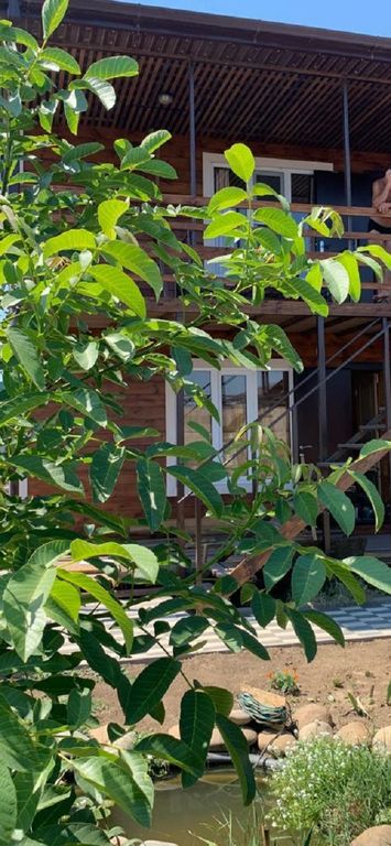 Отель Отель На Звездном переулке — Кучугуры