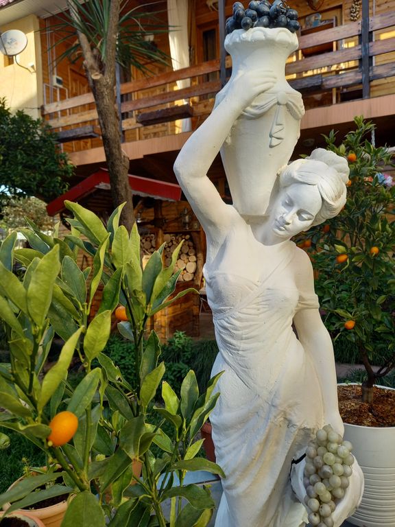 Квартира Комната На Луговой — Сириус