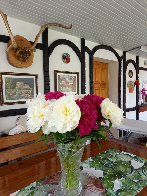 Квартира Комната На Луговой — Сириус