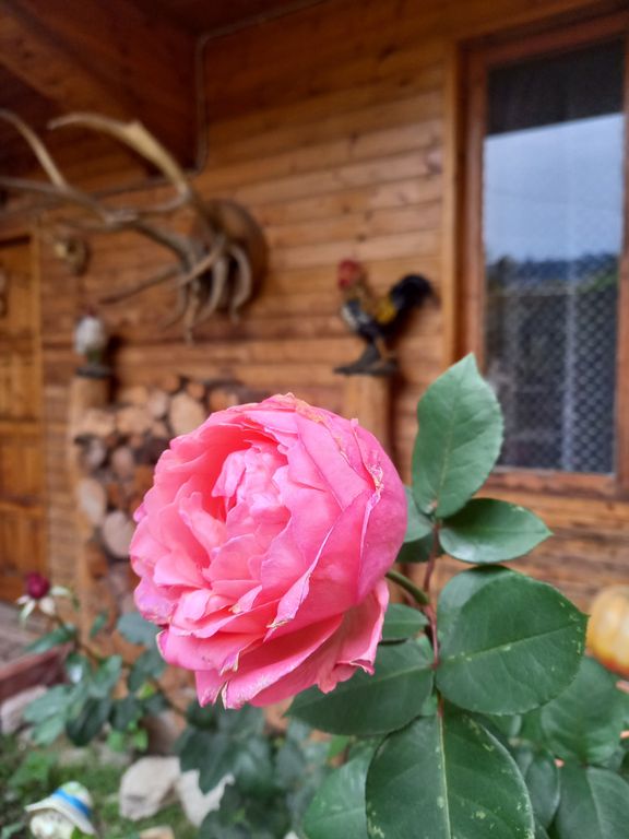 Квартира Комната На Луговой — Сириус