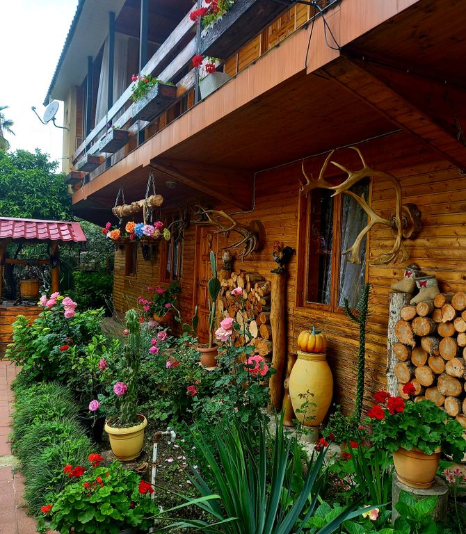 Квартира Комната На Луговой — Сириус