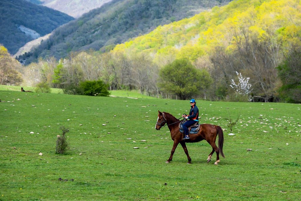 Верхняя Балкария прогулки на лошадях