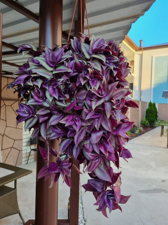 Квартира Апартаменты Гилиния — Сириус