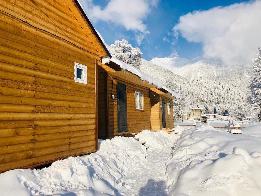 Архыз домики. Архыз Чинар Шале. Турбаза Горец Архыз. Chalet Forrest Архыз. Шале Форрест Архыз.