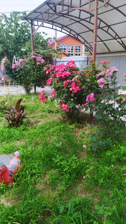 Гостевой дом Гостевой дом Горизонт — Кучугуры