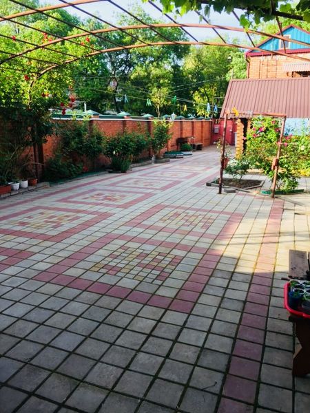 Во дворе много цветов