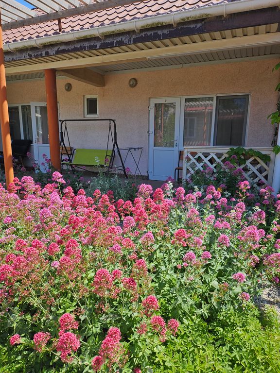 Семейный номер улучшенный с удобствами и кондиционером