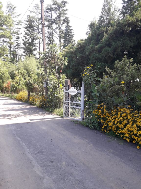 Семейный номер люкс с видом на море