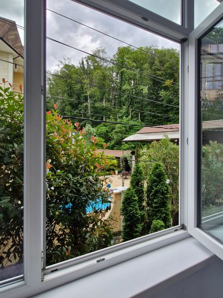 Вид из окна