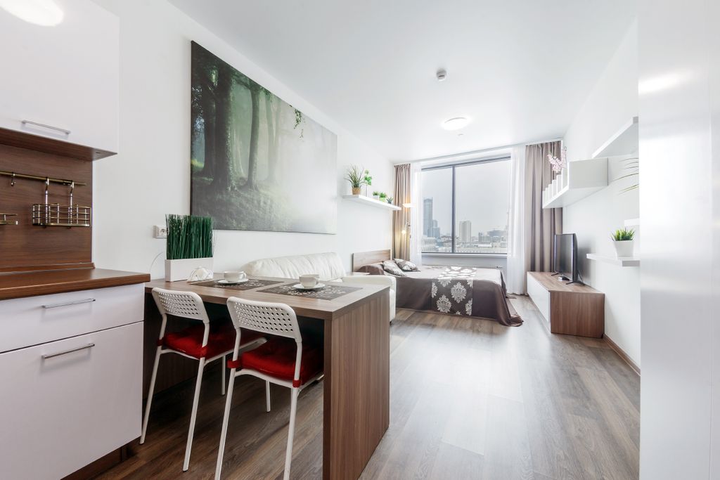 Апартаменты люкс с видом на город