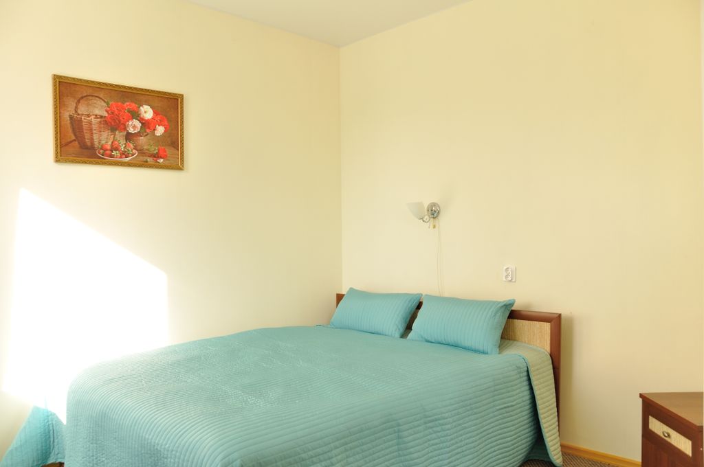 Двухместный номер с 1 кроватью комфорт с широкой кроватью