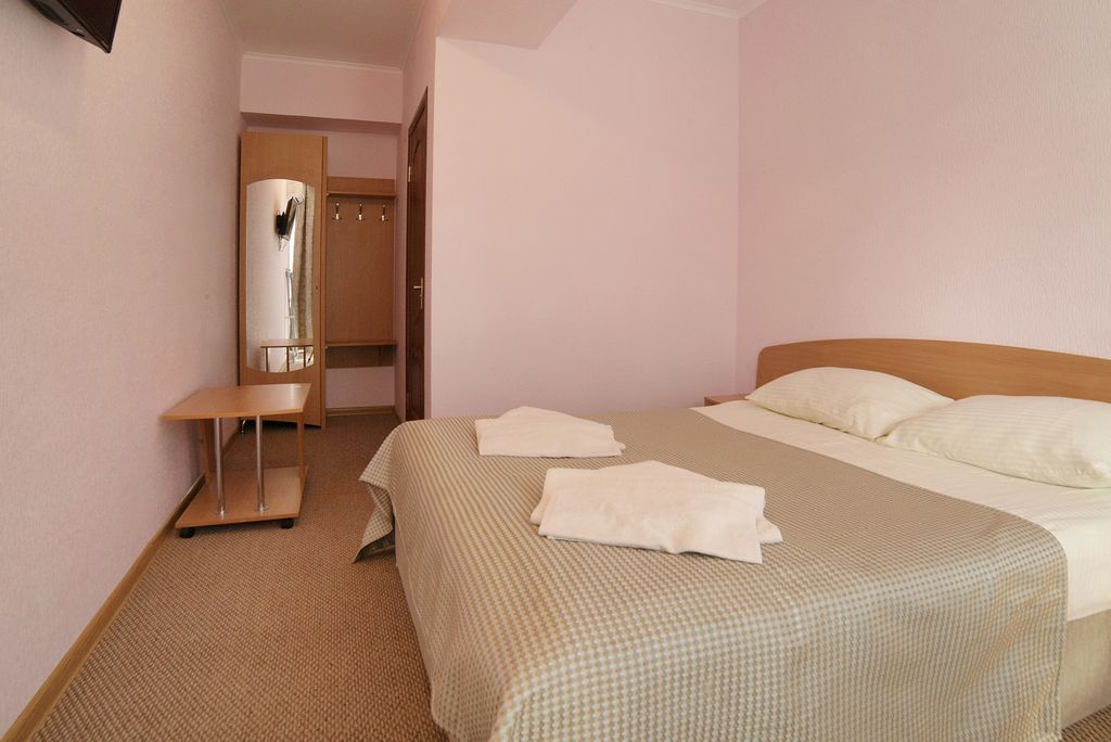 Двухместный номер с 1 кроватью стандарт с видом на горы