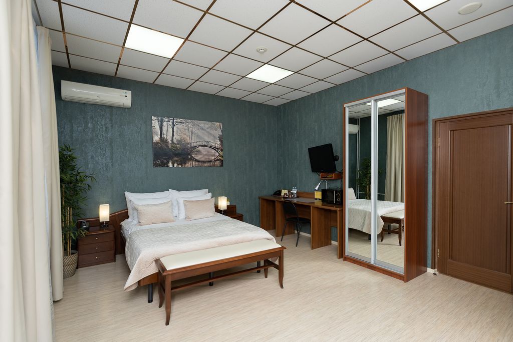 Двухместный номер с 1 кроватью люкс с видом на город