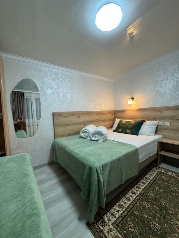 Двухместный номер с 1 кроватью стандарт с видом на горы