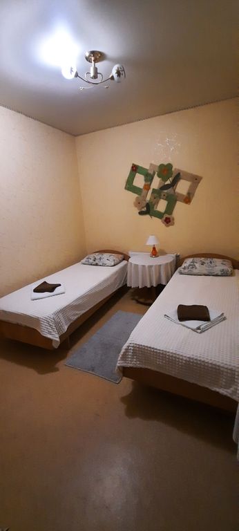 Двухместный номер с 2 отдельными кроватями эконом с видом на город