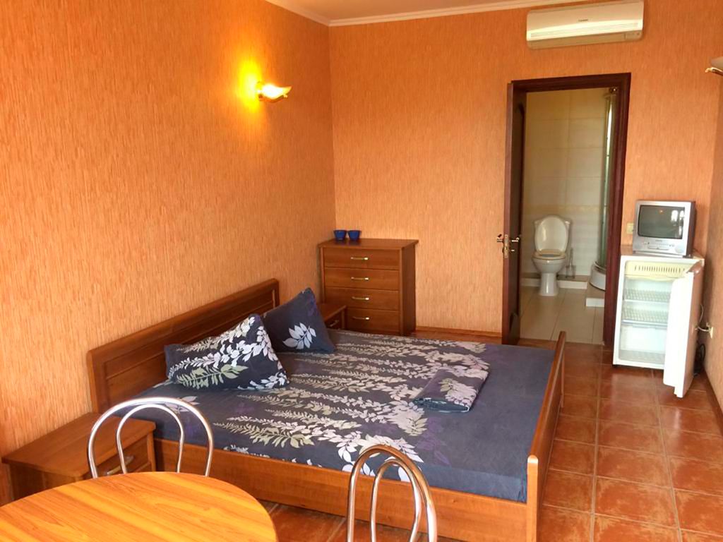 Двухместный номер с 1 кроватью стандарт с видом на горы