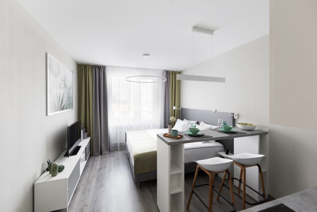 Двухместный номер с 1 кроватью студия стандарт