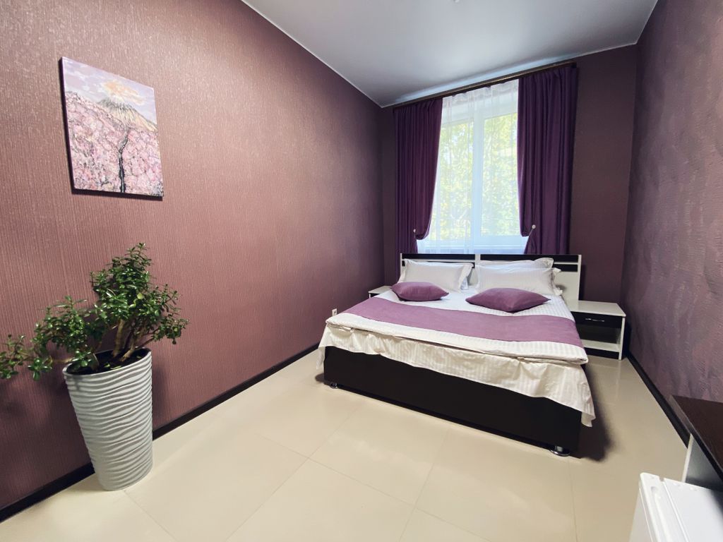 Двухместный номер с 1 кроватью