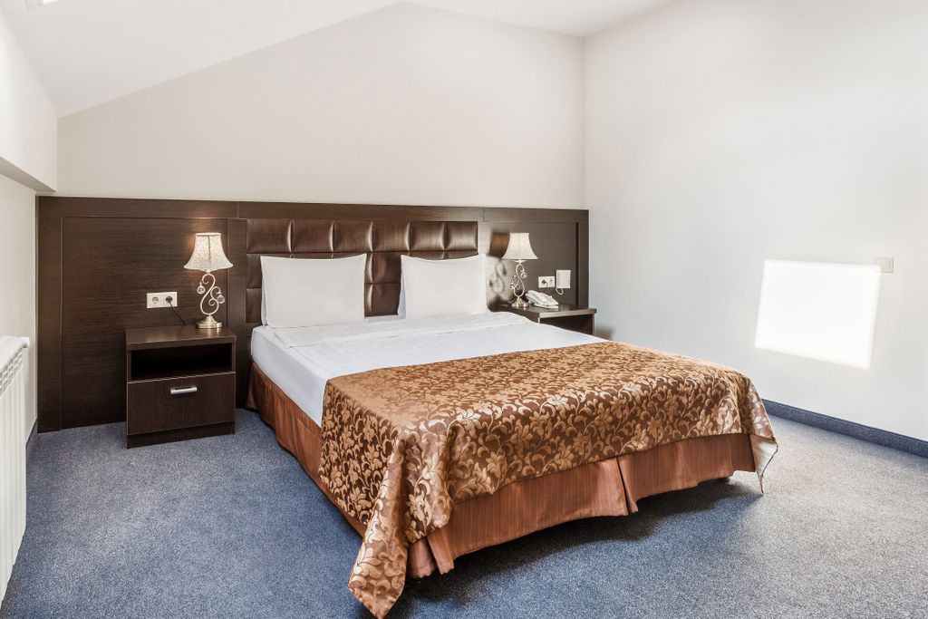 Двухместный номер с 1 кроватью стандарт мансардный