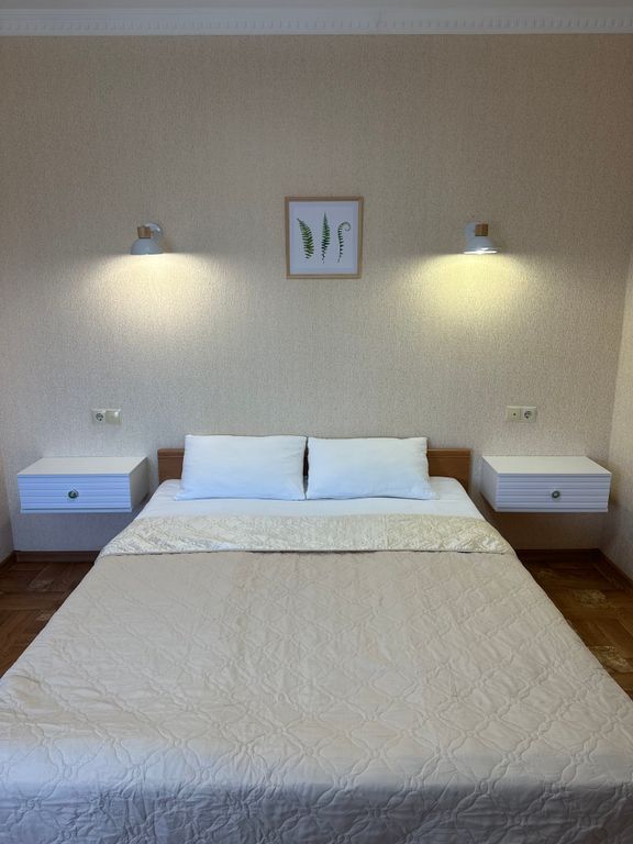 Двухместный номер с 1 кроватью стандарт 23