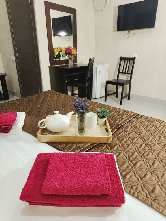 Двухместный номер с 1 кроватью «Стандарт»