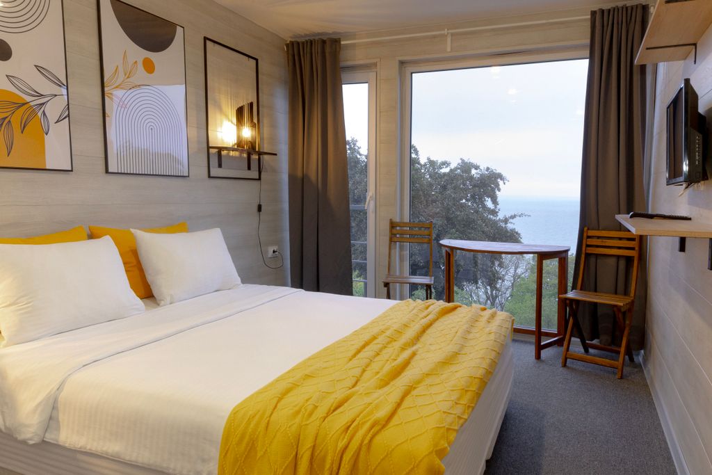 Двухместный номер с 1 кроватью стандарт с видом на горы