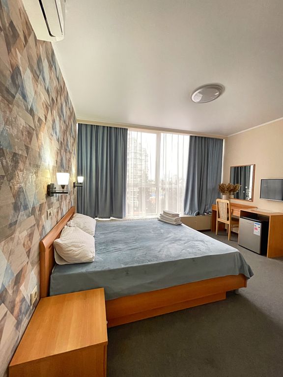 Двухместный номер с 1 кроватью стандарт с видом на город