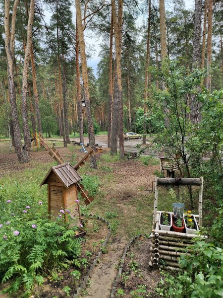 вид из окна