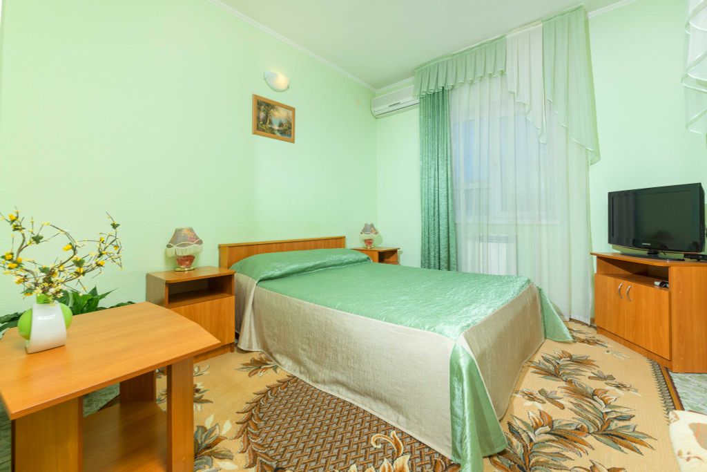 Двухместный номер с 1 кроватью стандарт с видом на город