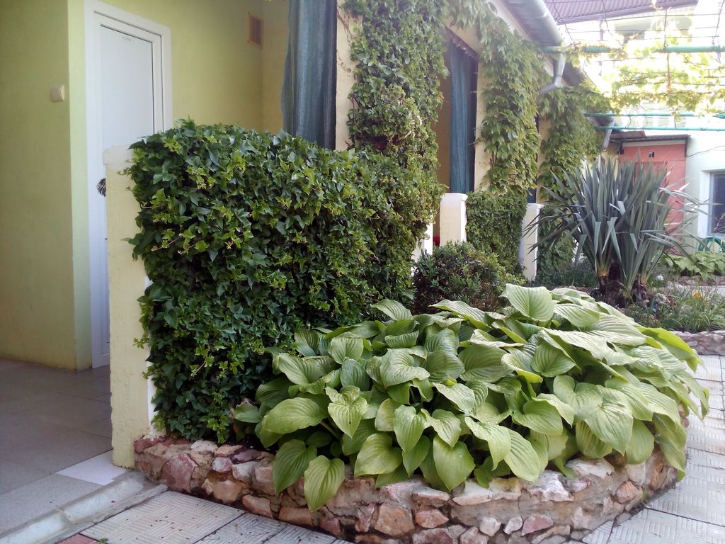 Двухместный номер с 2 отдельными кроватями стандарт