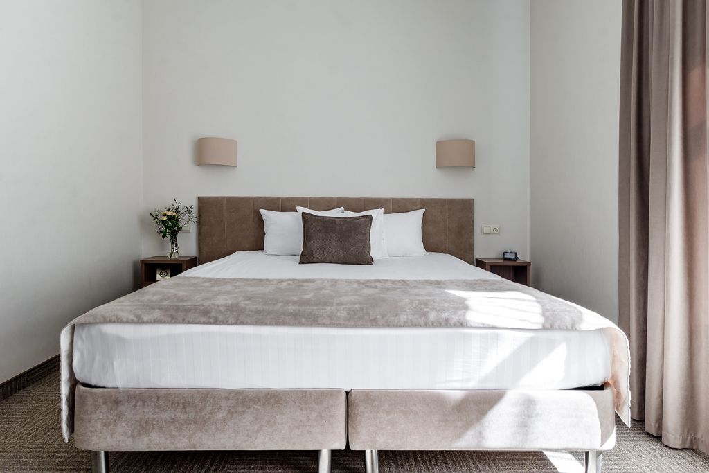 Двухместный номер с 1 кроватью Стандарт с кроватью King-size