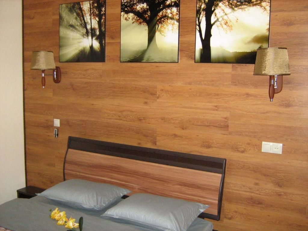 Двухместный номер с 1 кроватью стандарт с видом на город