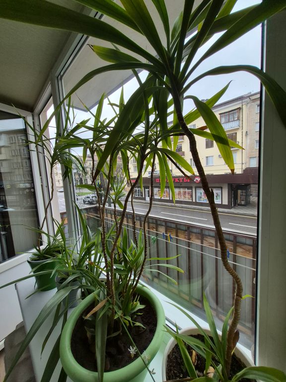 Квартира в центре
