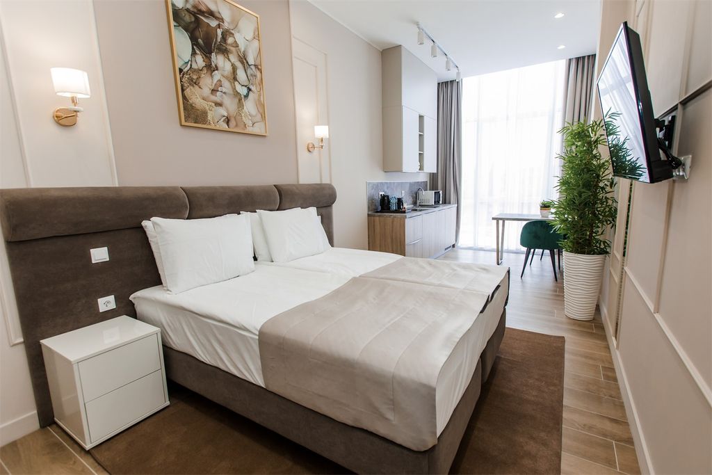 Двухместный номер с 1 кроватью Студия Стандарт