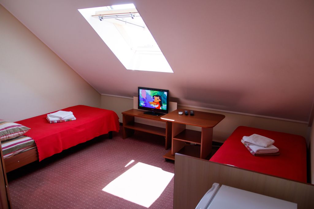 Двухместный номер с 2 отдельными кроватями эконом с видом на город