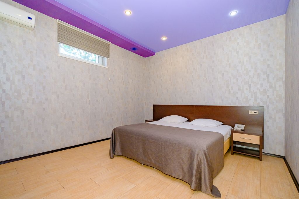 Двухместный номер с 1 кроватью эконом