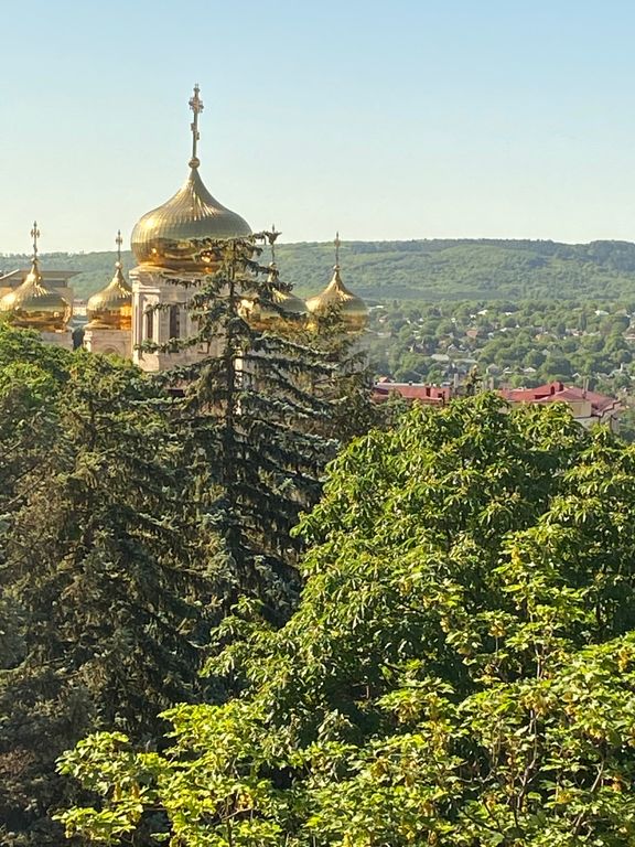 Вид из гостиной 
