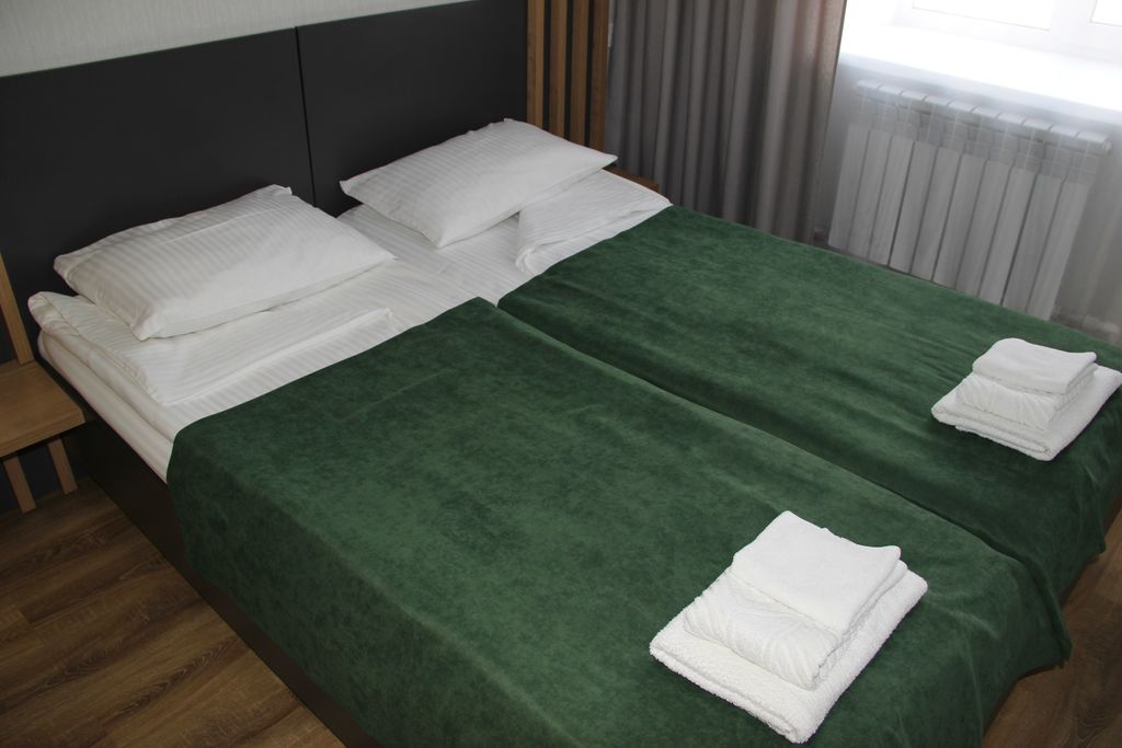 Двухместный номер с 1 кроватью эконом твин