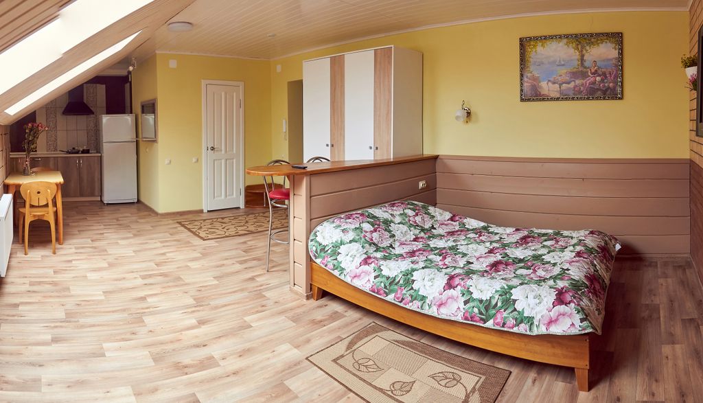 Апартаменты студия мансарда