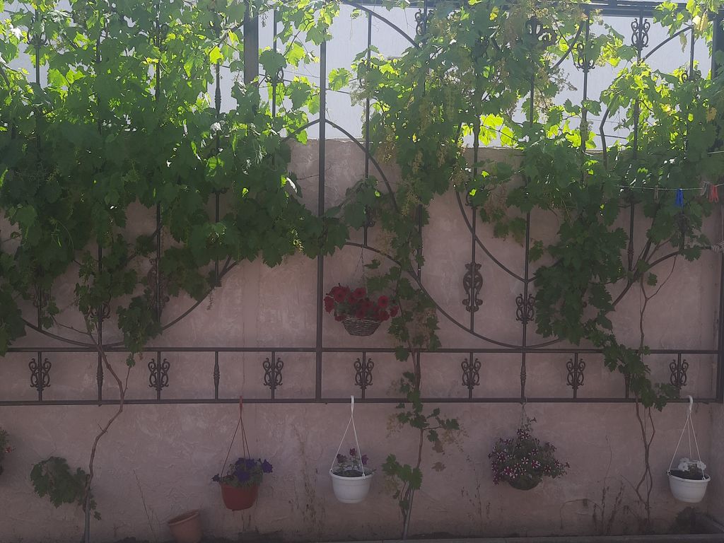 Двухместный номер с 2 отдельными кроватями стандарт