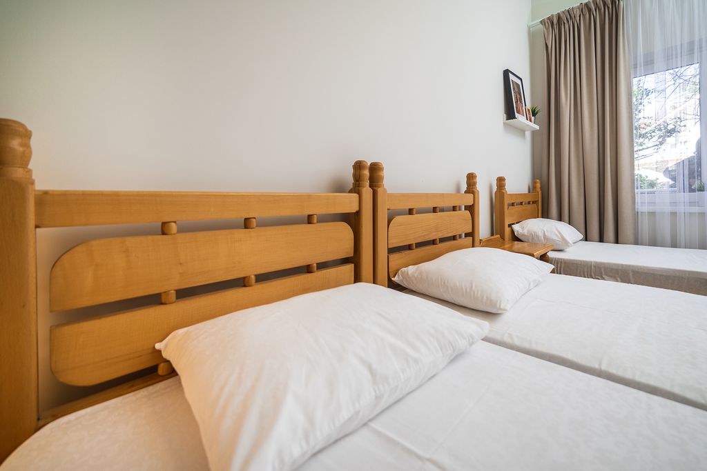 Трёхместный номер стандарт с отдельными кроватями и террасой