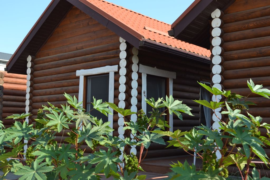 Семейный номер Кедровый домик