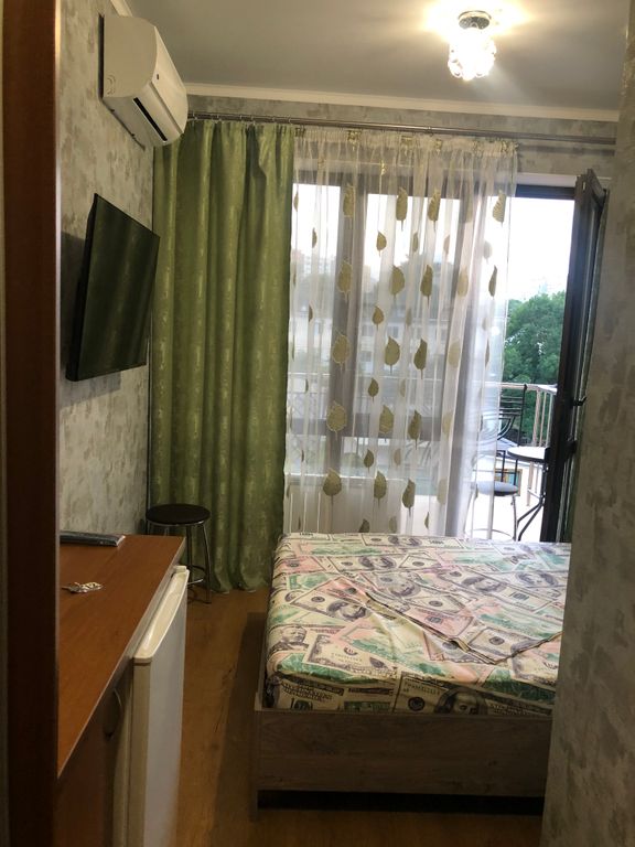 Двухместный номер с 1 кроватью стандарт с видом на город