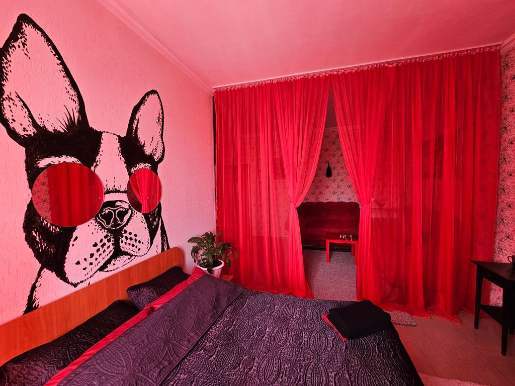 Двухместный номер с 1 кроватью красный