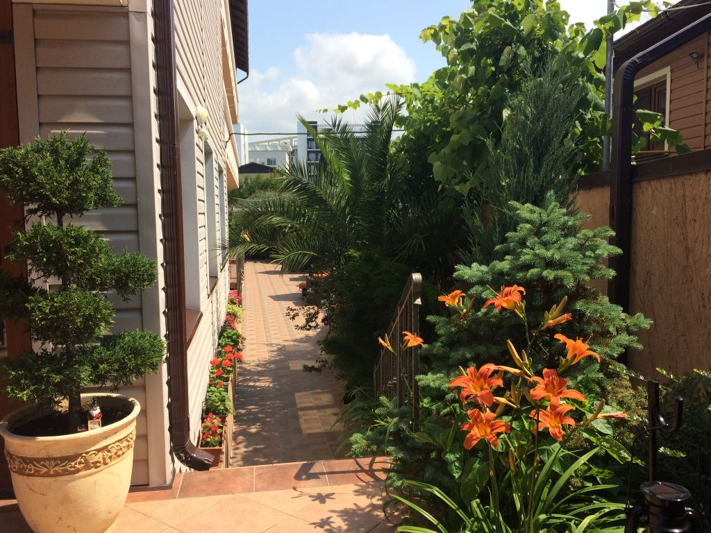 Двухместный номер с 2 отдельными кроватями стандарт