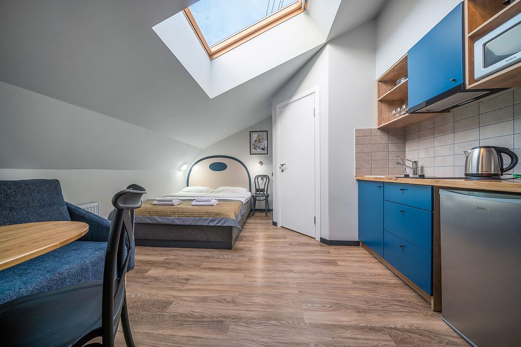 Двухместный номер с 1 кроватью студия с кухней на мансарде