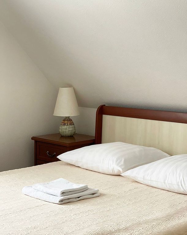 Двухместный номер с 1 кроватью Люкс RG