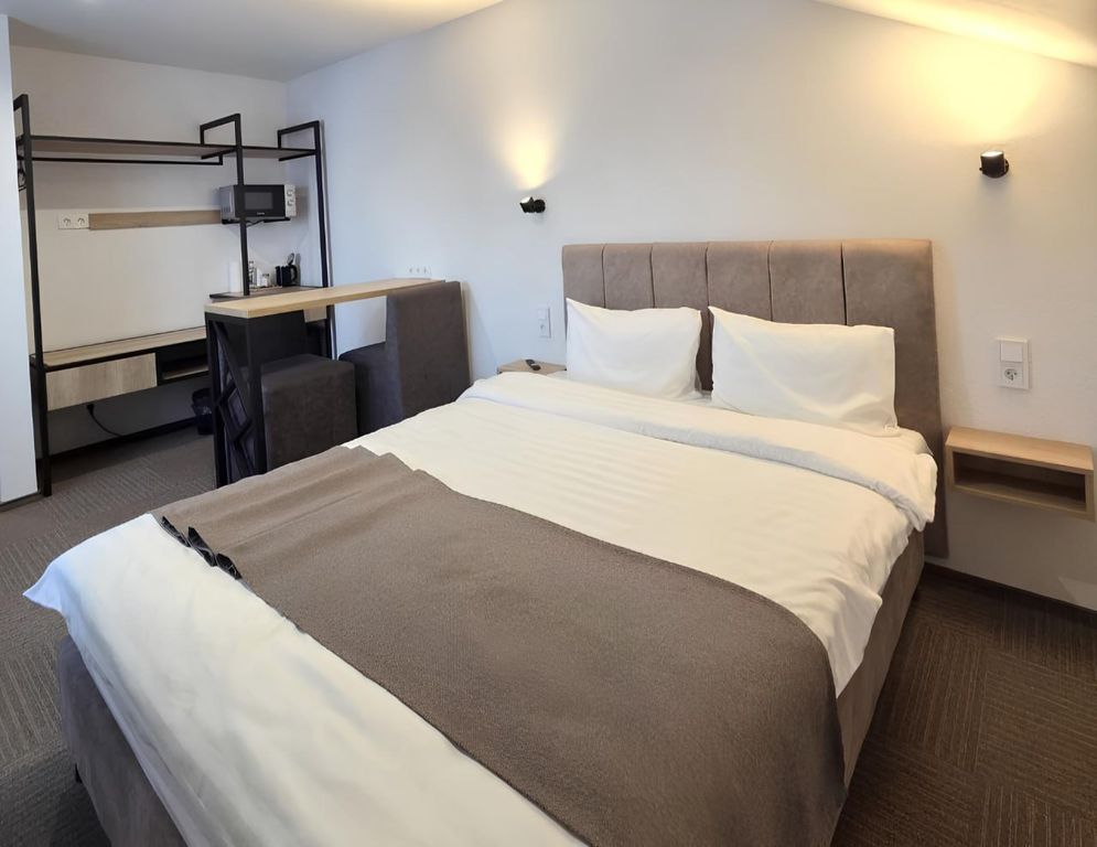 Двухместный номер с 1 кроватью 1-комнатный с видом на терриконы