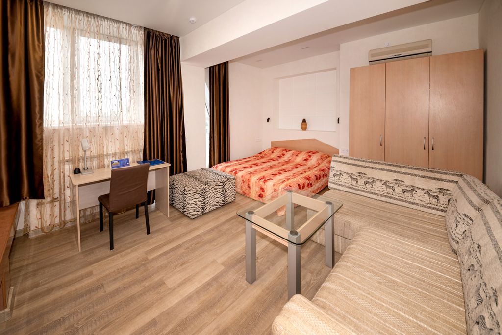 Двухместный номер с 1 кроватью высшей категории студия Модерн