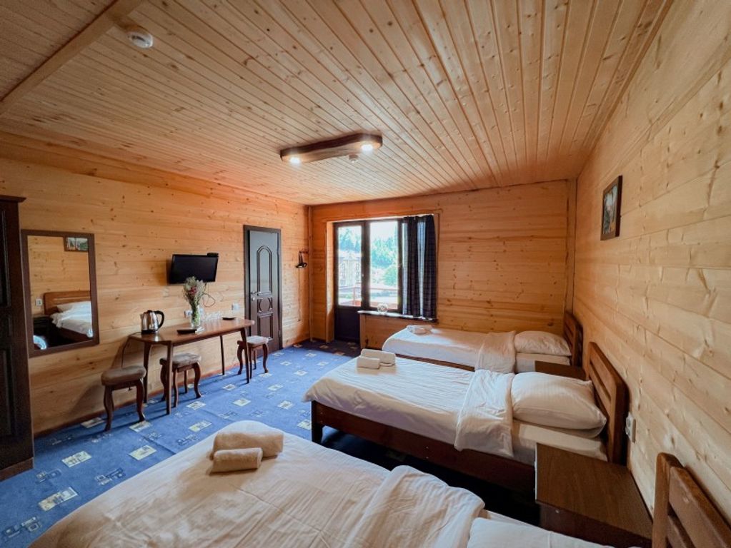 Трёхместный номер стандарт с видом на лес 1+1+1